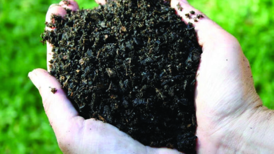 The 5 Principles that Guide the Nutrients and Chemistry of all Amp Agronomy Products