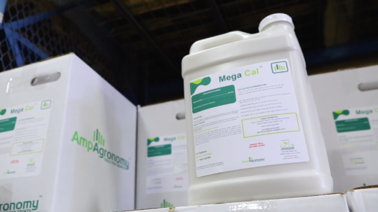Mega Cal: The Superior Calcium Product